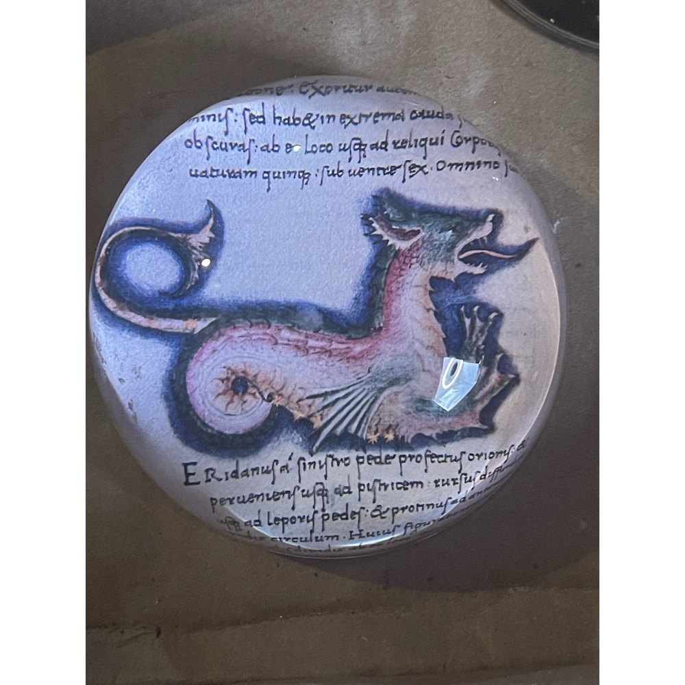 Dragon Art Glass Paperweight Medieval Bestiary Style – Fantasy Mythical Creature